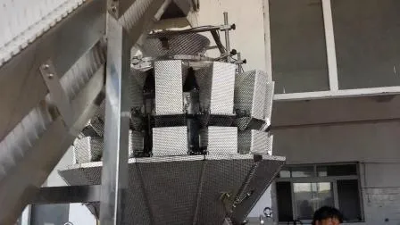 Semi Automatic Packaging Machine for Food with Inclined Conveyor 